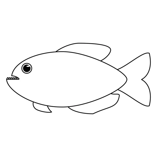 Caricature animalière poisson mer en noir et blanc — Image vectorielle