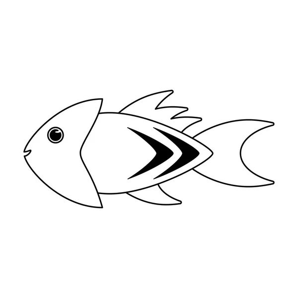 Fish sea animal cartoon in black and white — Stock Vector
