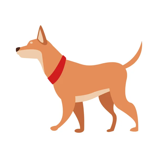 Animal de perro mascota — Vector de stock