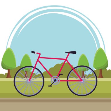 motor sporu taşımacılığı