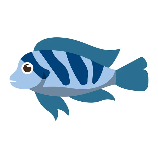 Fish sea animal cartoon — Stock Vector