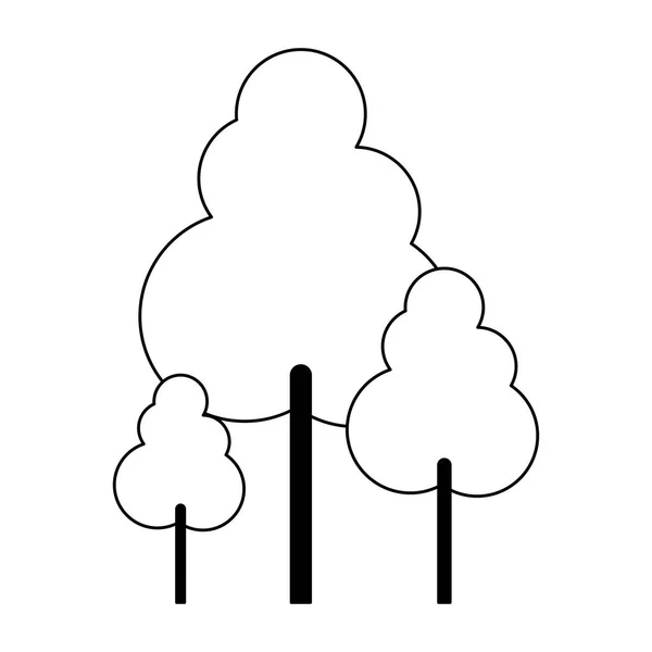 Bäume Natur isoliert in schwarz und weiß — Stockvektor
