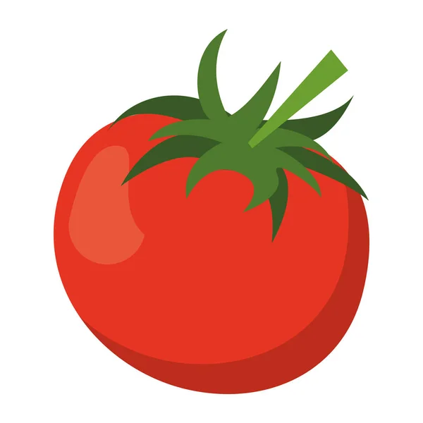 Tomaten frisches Gemüse Cartoon — Stockvektor