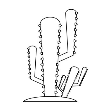 kaktüs çöl bitkileri siyah beyaz çizgi film