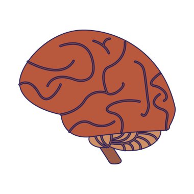 insan beyni sembolü izole