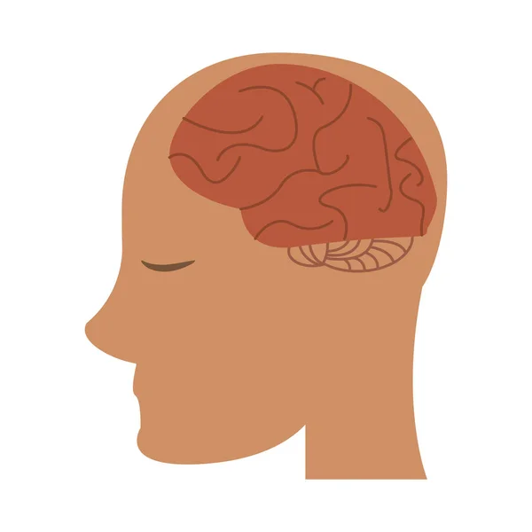 Cabeza humana con cerebro — Vector de stock