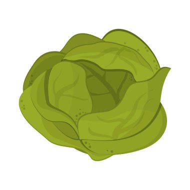 Marul sebze gıda sembolü