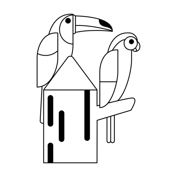 Тукан екзотичні птахи чорно-білі — стоковий вектор