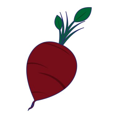 Turp sebze gıda mavi çizgiler