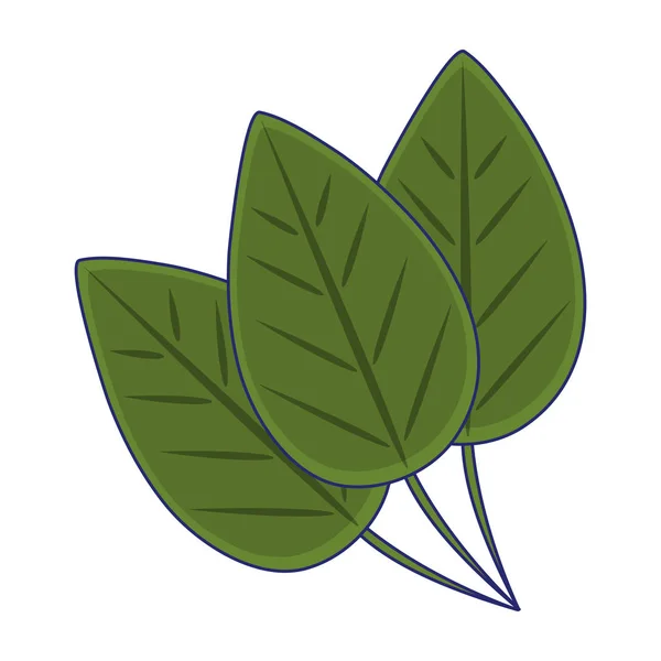 Symbol na białym tle niebieski linie liście natura — Wektor stockowy