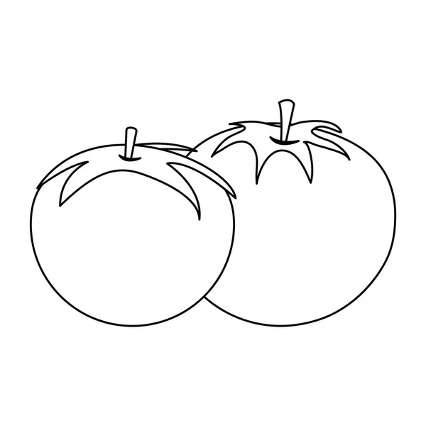 Tomates verduras alimentos blanco y negro — Vector de stock