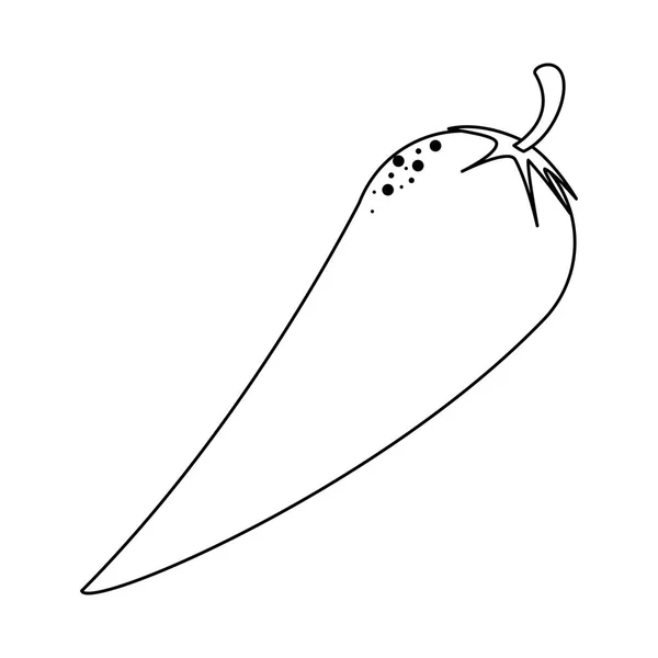 Comida vegetal picante de chile blanco y negro — Vector de stock