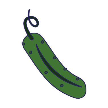 Salatalık taze sebze satırları mavi