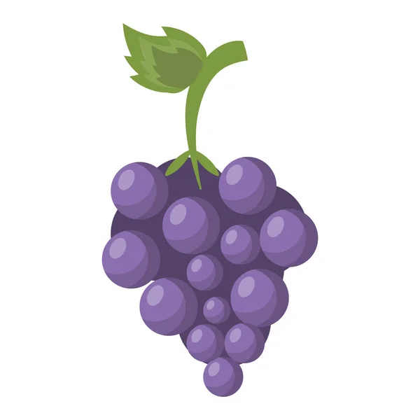 Winogrona świeże owoce na białym tle — Wektor stockowy