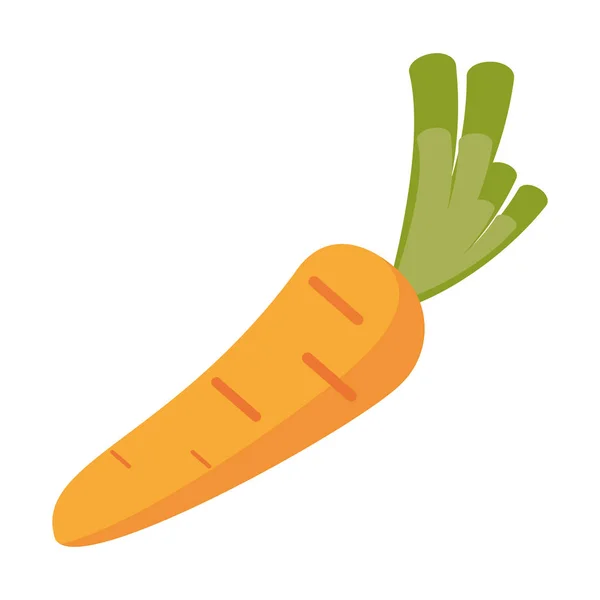 Sayuran segar wortel - Stok Vektor