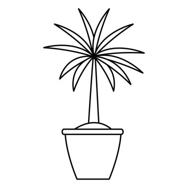 mobilya dekorasyon bitki siyah ve beyaz