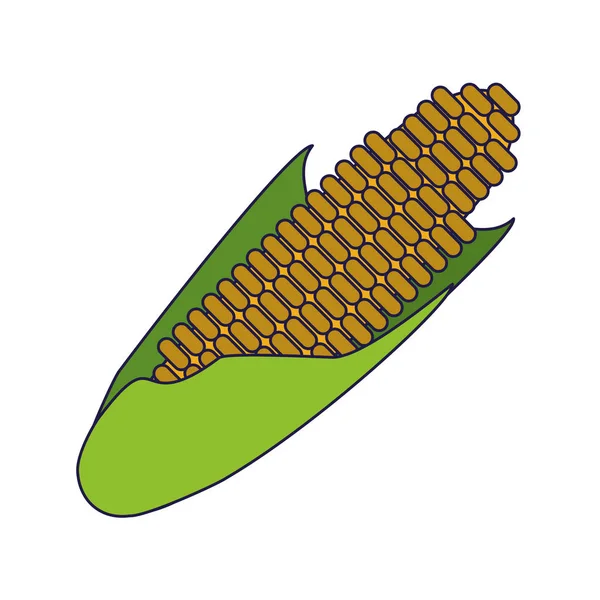 Maíz caricatura vegetal fresca — Vector de stock