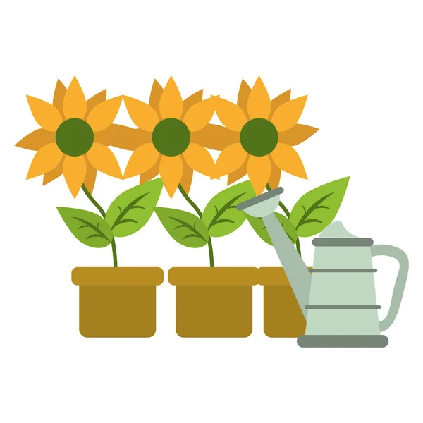 Sunflowers in pots with water can — Stock Vector