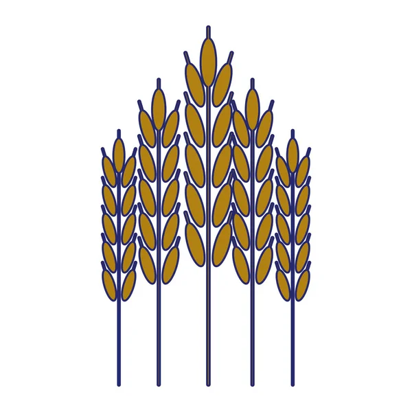 Simbol makanan alami gandum - Stok Vektor