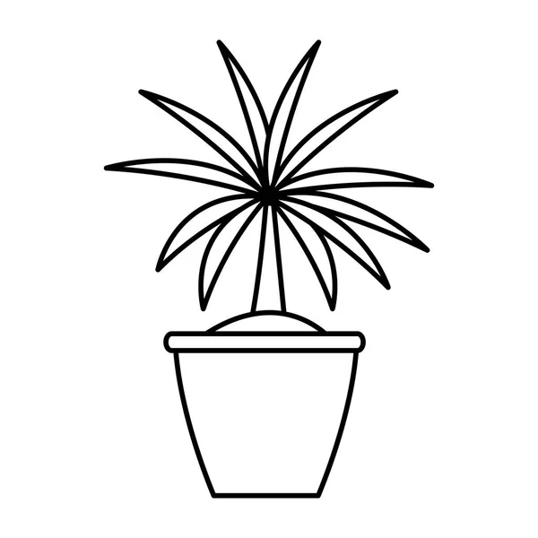 植物自然室内在黑色和白色 — 图库矢量图片