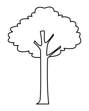 ağaç doğa siyah beyaz yeşil