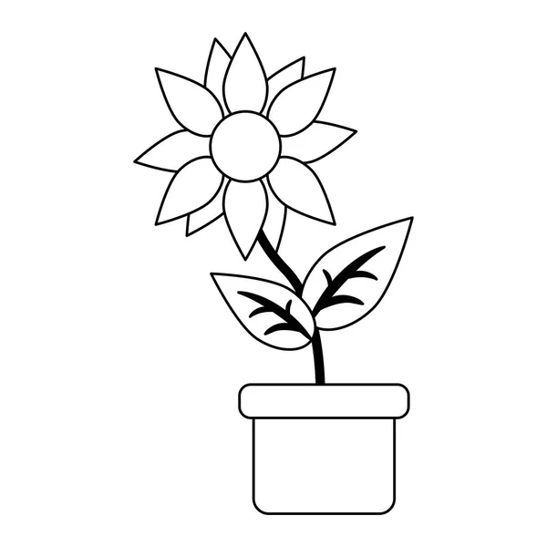 Sunflower in pot cartoon in black and white — Stock Vector