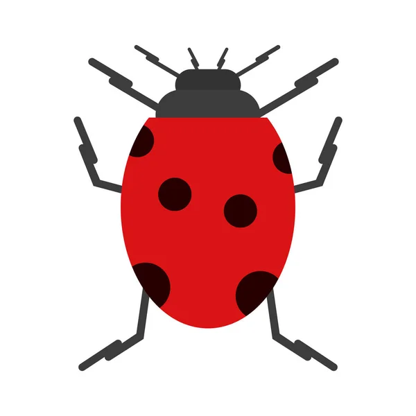 Symbole du virus coccinelle isolé — Image vectorielle