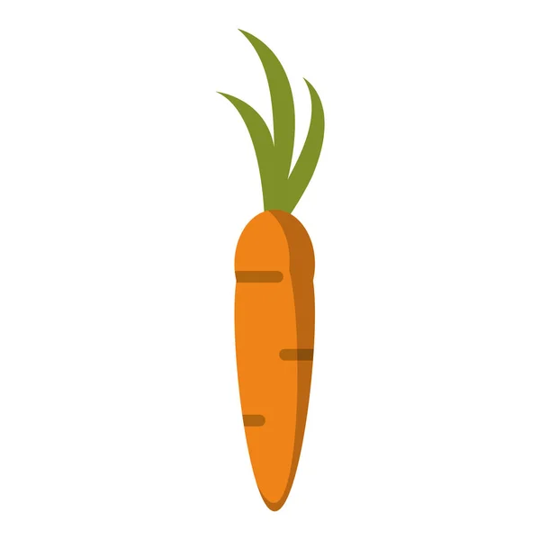 Símbolo de comida de cenoura vegetal — Vetor de Stock