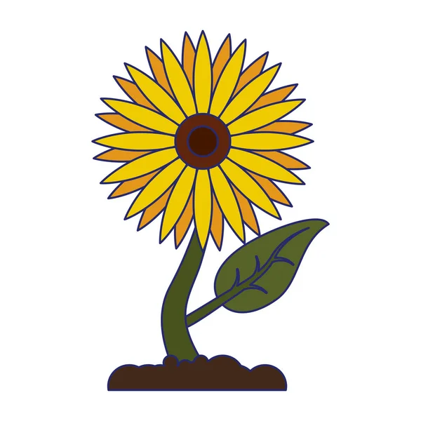 Sunflower plant cartoon isolated — Stock Vector
