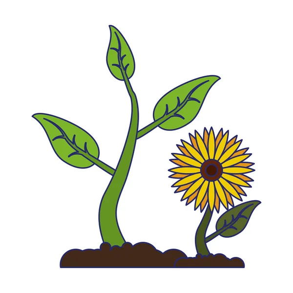 Sunflower and plant growing plant — Stock Vector