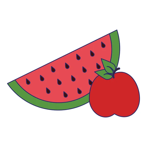 Vattenmelon och apple frukter — Stock vektor
