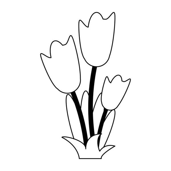 Blommor med bladen tecknad i svart och vitt — Stock vektor