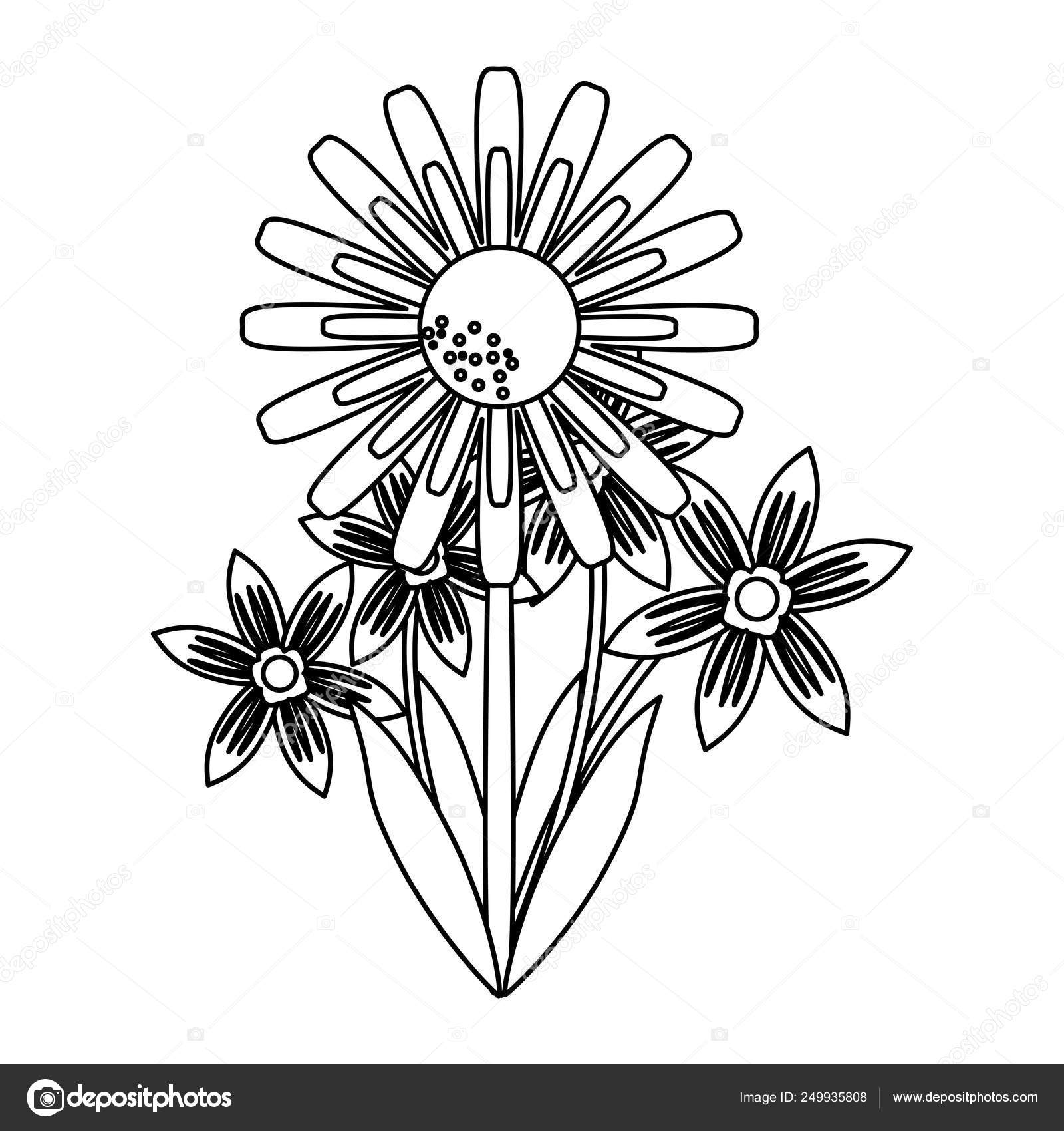 Hermosa flor con hojas de dibujos animados en blanco y negro vector, gráfico vectorial © jemastock imagen #249935808 Hermosa flor con hojas de dibujos animados en blanco y negro vector, gráfico vectorial © jemastock imagen #249935808