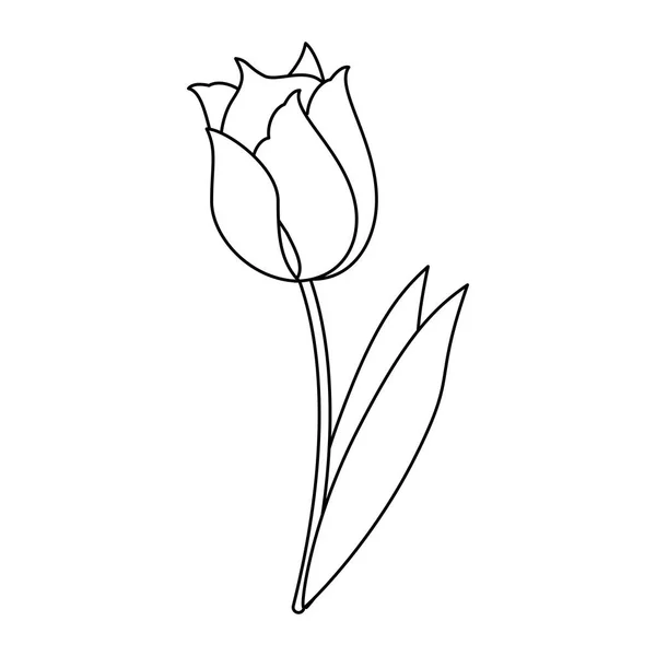 Hermosa flor con hojas de dibujos animados en blanco y negro — Vector de stock