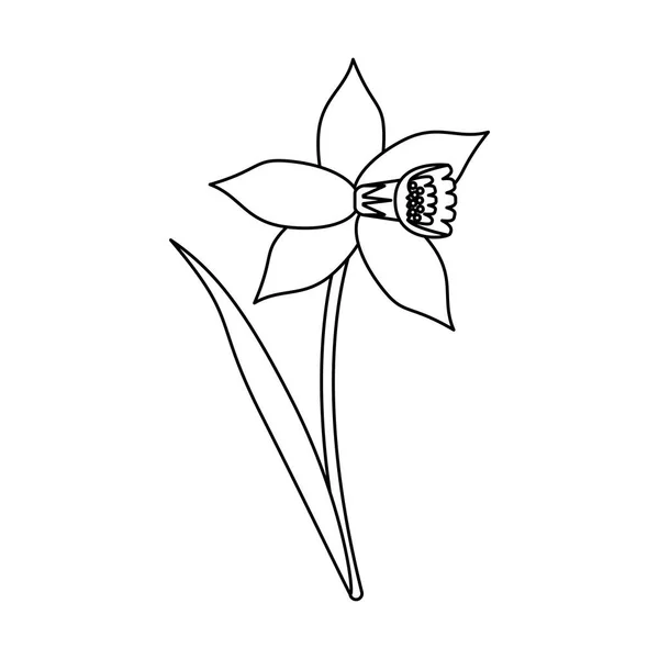 Bela flor com folhas de desenhos animados em preto e branco —  Vetores de Stock