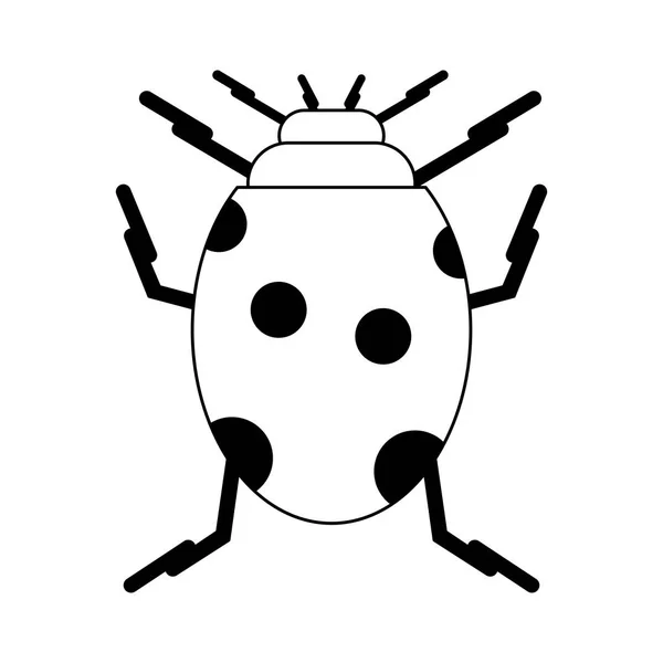 Symbole du virus coccinelle isolé en noir et blanc — Image vectorielle