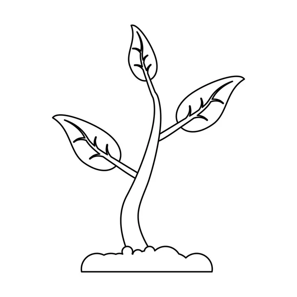 Planta que crece en el símbolo de la jardinería en blanco y negro — Vector de stock