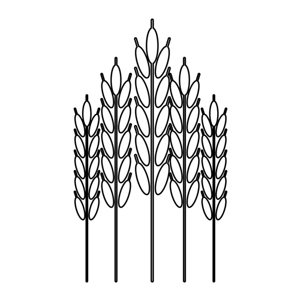 Vete naturlig mat symbol i svart och vitt — Stock vektor