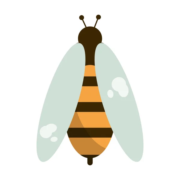 Bee bug cartone animato isolato — Vettoriale Stock