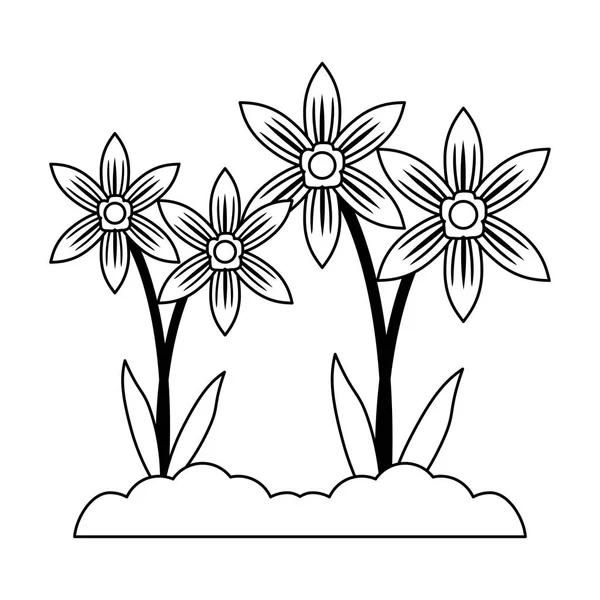 Flores do jardim desenhos animados isolados em preto e branco —  Vetores de Stock