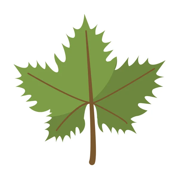 Druiven leaf symbool geïsoleerd — Stockvector