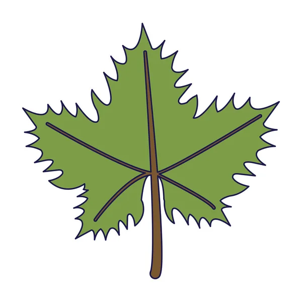 Grapes leaf symbol isolated