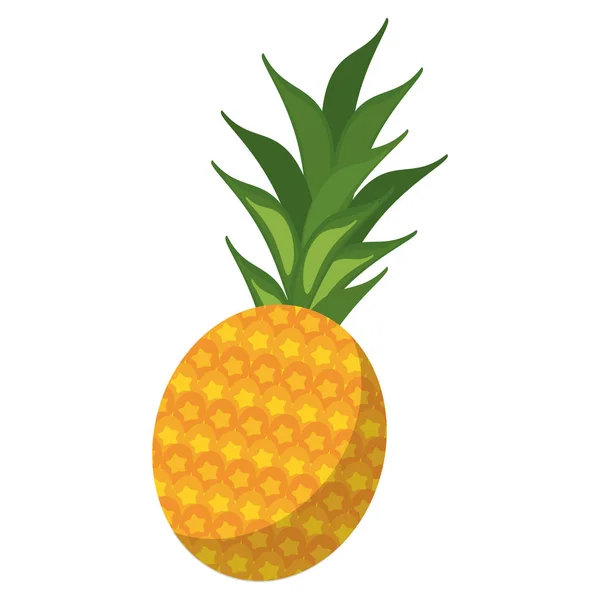 菠萝热带水果分离 — 图库矢量图片