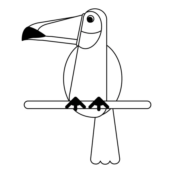 Kreskówka ptaków egzotycznych w czerni i bieli — Wektor stockowy