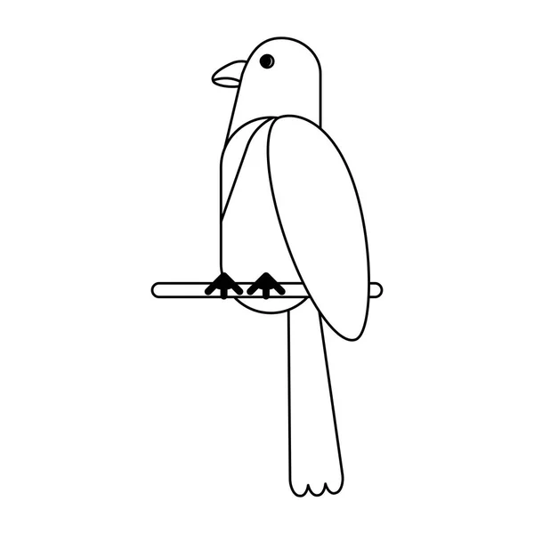 Exotische vogel cartoon in zwart-wit — Stockvector