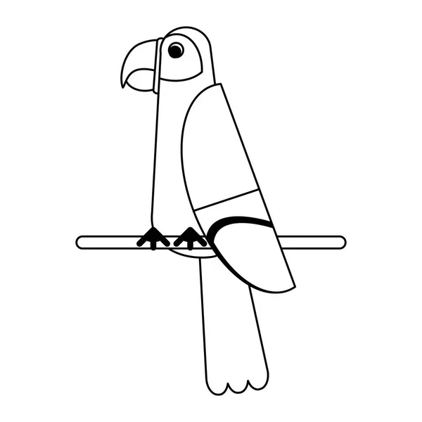 Dibujos animados de aves exóticas en blanco y negro — Vector de stock