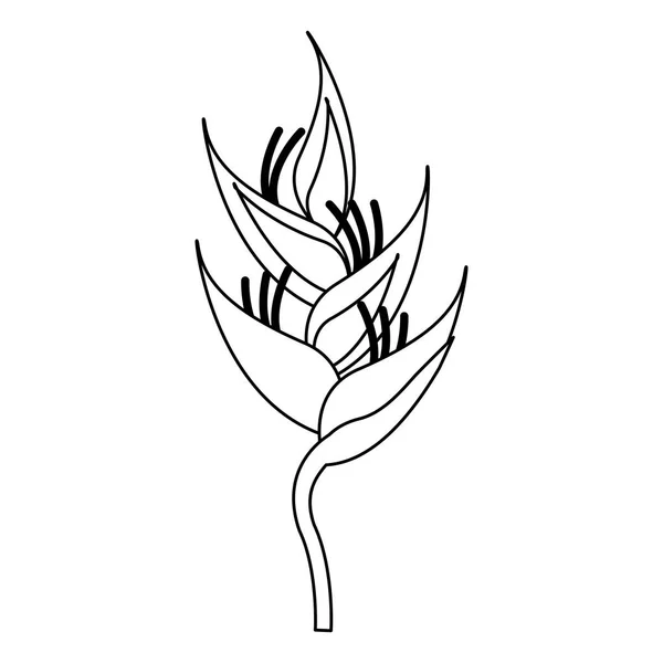 Hermosa caricatura flor aislada en blanco y negro — Vector de stock