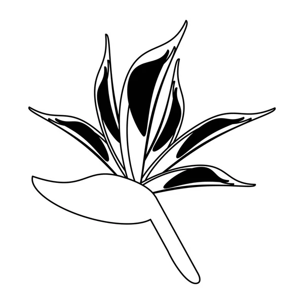 Cartoom όμορφο λουλούδι που απομονώνονται σε μαύρο και άσπρο — Διανυσματικό Αρχείο