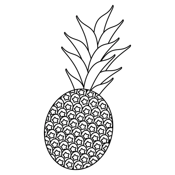 Ananas owoce tropikalne na białym tle czarno-białe — Wektor stockowy