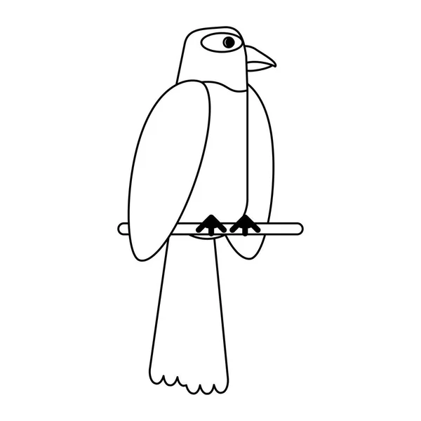 Egzotikus madár rajzfilm, fekete-fehér — Stock Vector